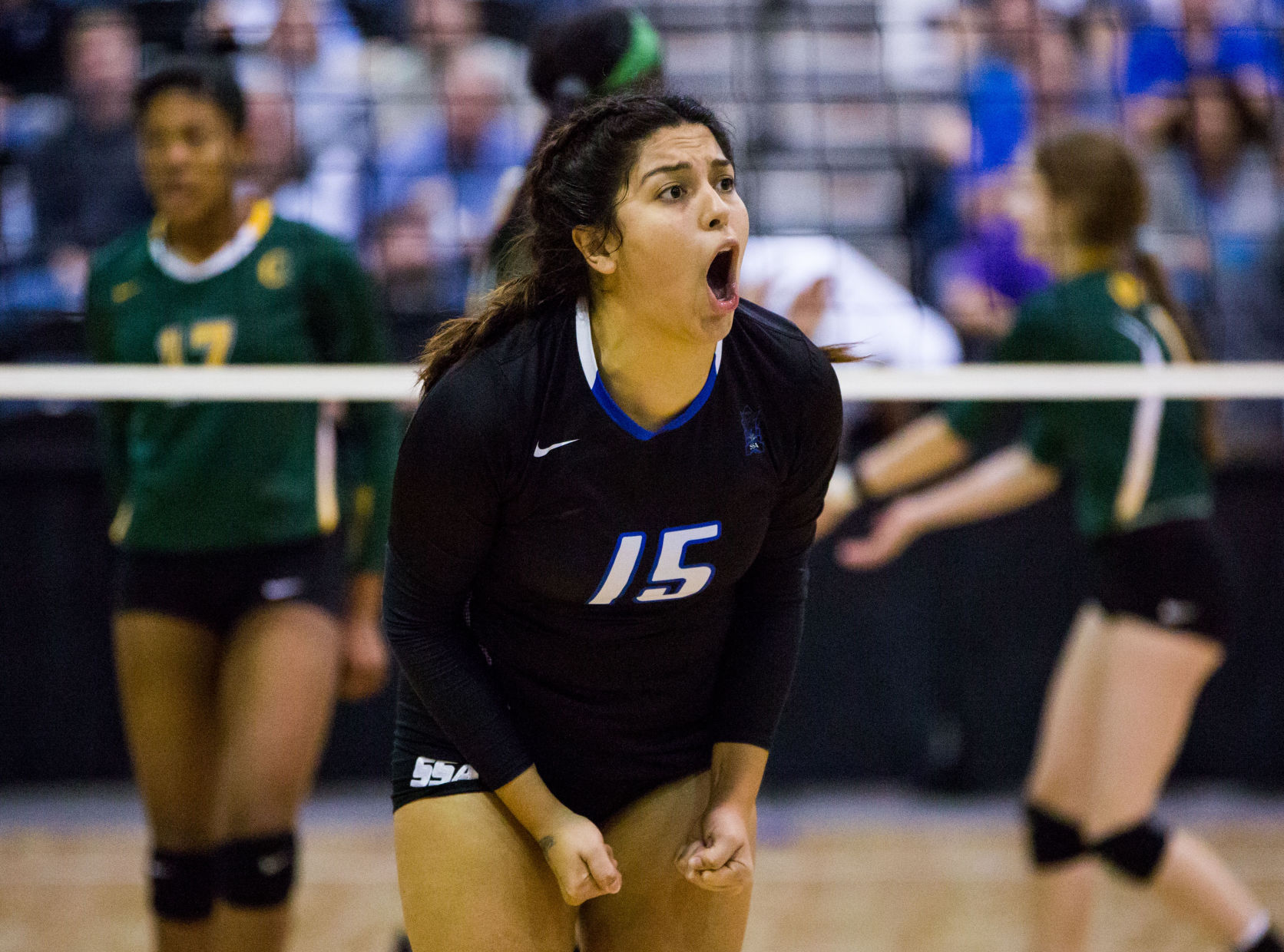 br.divisionIIIvolleyball.111117.023.JPG